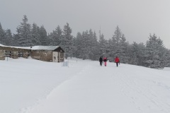 IMG_20250110_103905