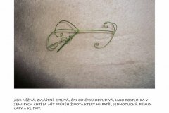 K_MARKETA_CIHAKOVA_VIDENI_SEBE_08