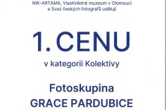 nasfo_diplom