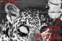 Galerie_12